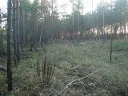 Костюм "диверсант 2". Трава. Дистанция около 10 метров.